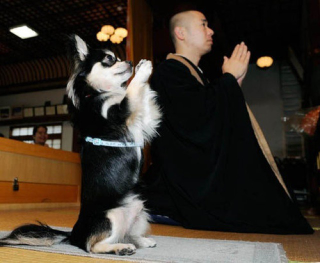 Illustration for article titled Here Are Japan's Silly Internet Pictures